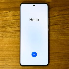 OPPO Reno10 Pro 5G 256GB シルバーグレー