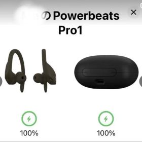 Beats Powerbeats Pro 本体 オリーブ 耳掛け式 イヤホン