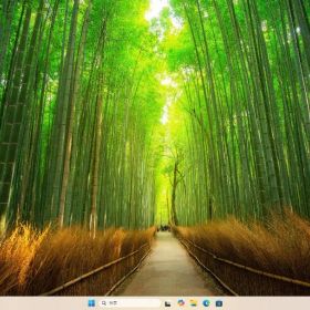 【ジャンク】Surface Pro8 液晶表示乱れ｜ガラス割れなし｜外部出力OK