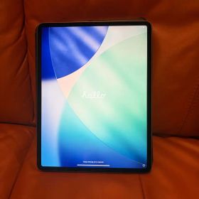 Apple iPad Pro 本体