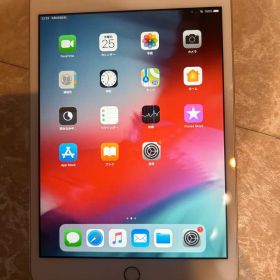 iPad mini 3 7.9(2014年モデル)のメイン画像