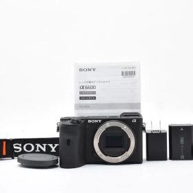 ■8690ショットのほぼ新品■ SONY ソニー α6600 ILCE-6600 ブラック #F200