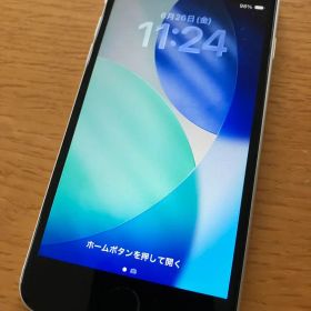 Apple iPhone SE 第2世代 ホワイト 本体（ジャンク）