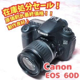 Canon EOS 60D 一眼レフ 初心者向け 可動式 キャノン 自撮り