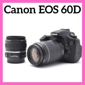 ✨スポーツ観戦に✨CANON EOS 60D✨ダブルレンズ✨サクサク撮れる✨
