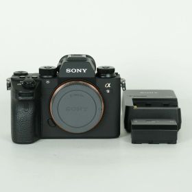 [美品 | シャッター数12,138回] SONY α9（ILCE-9） | SONY Eマウント