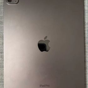 iPad Pro M4 11インチ（256GB・スペースブラック・Wi-Fi）