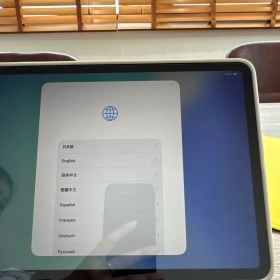 iPad Pro (第4世代) 11インチ 1TB セルラー バッテリー100%