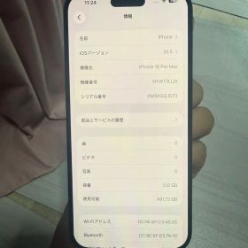海外版 iPhone 16 Pro Max 512GB，デュアル物理SIM対応