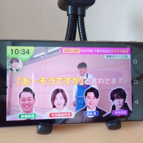 ☆SOV32☆SONY Xperia Z5 フルセグ地デジ バッテリー良好 美品