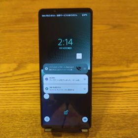 docomo SIMフリー Xperia 1V SO-51Ｄ12GB 256G