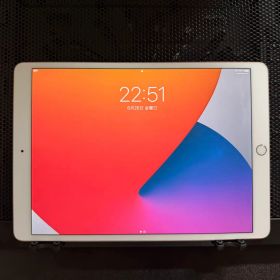 【⭐︎早い者勝ち⭐︎】 iPad Air 第3世代 セルラーモデル 64GB