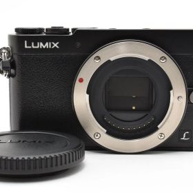 ★極上★ パナソニック Panasonic LUMIX GM5 ボディ DMC-GM5 ブラック 《ショット数18400回！》★完動品★ #A605066