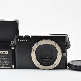 シャッター回数3093回！■美品■ PANASONIC GM5 ボディ ブラック DMC-GM5-K