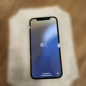 Apple iPhone 12Pro 本体 初期化済み