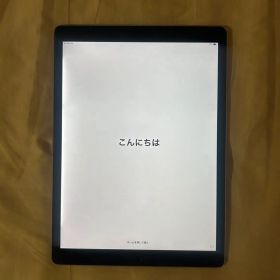 iPad Pro 12.9 (第2世代) 512GB 本体