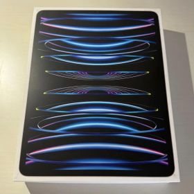 iPad Pro 12.9インチ 第6世代 M2 512GB
