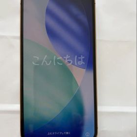 Apple iPhone 12 Pro Max 128GB 本体 SIMフリー