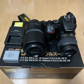 Nikon D5500 ダブルズームキット 本体 メンテナンスセット