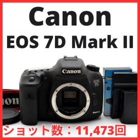 F23[8075]36★美品★ キヤノン Canon EOS 7D Mark II ボディ 【ショット数 11,473回】