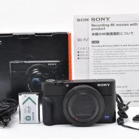 SONY ソニー Cyber-shot RX100V DSC-RX100M5A ブラック コンデジ #F204