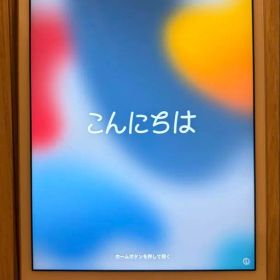 iPad mini 4 Wi-Fi+Cellular 64GB シルバー