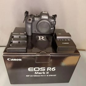 【箱付き・美品】Canon eos R6 mark2 ii ボディ おまけ付き