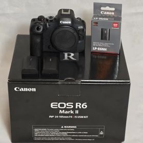 [シャッター 6821回・美品] Canon EOS R6 Mark II