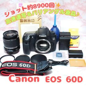 Canon EOS 60D バリアングル液晶 一眼レフ キャノン 高画質 自撮り