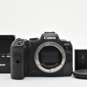 極上品 Canon EOS R6 #1517 に０３８