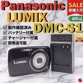 動作品 Panasonic LUMIX DMC-S1 オールドデジカメ 軽量