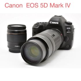 Canon EOS 5D Mark IV /EF28-80/EF100-300