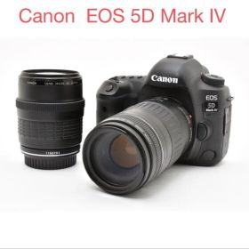 Canon EOS 5D MARK IV/EF 35-105/EF 90-300