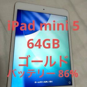 ★iPad mini 5★ バッテリー良好 WiFi 64GB ゴールド