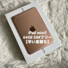 【完動品】iPad mini 5 64GB SIMフリー 【すぐ発送】【付属品】