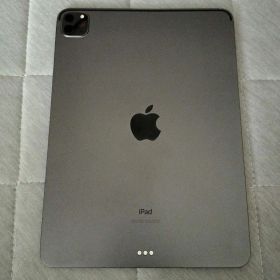 Apple iPad Pro 第2世代 11インチ 256GB スペースグレイ