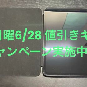 Apple iPad Pro 11インチ M4 256GB 超美品