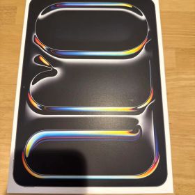 11インチiPad Pro（M4）Wi-Fi 256GB- スペースブラック