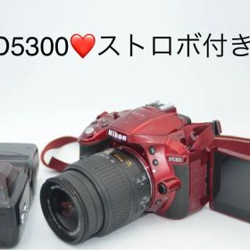 Nikon D5300 レッド ストロボ付き デジタル一眼レフ 本体