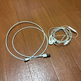 Apple Lightningケーブル & EarPods