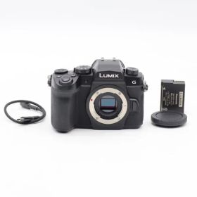 【美品】パナソニック LUMIX ルミックス G99 ボディ DC-G99-K