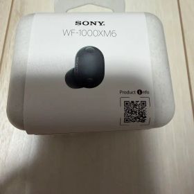 SONY WF-1000XM6 【ほぼ未使用頻度】