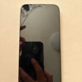 iPhone 12 Pro 256GB パシフィックブルー Face ID不可