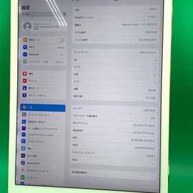 ★本体美品 iPad Pro 12.9インチ 第2世代 Wi-Fi+Cellular 64GB H2