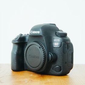 Canon EOS 6D Mark II 6D2 ボディ 純正BT・充電器付