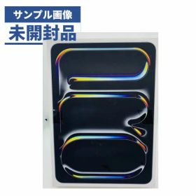 【未使用品】iPad Pro 11インチ 第5世代 256GB デモ機 シルバー Softbank 【安心30日保証】 本体 白ロム CCコネクト