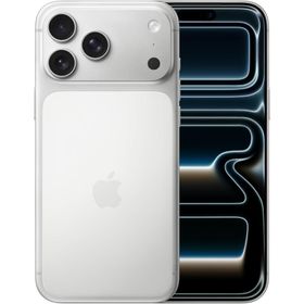 新品未開封 Appleストア版 SIMフリー iPhone17 Pro Max 256GB シルバー色