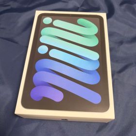iPad mini (第7世代) スペースグレイ 128GB Wifi
