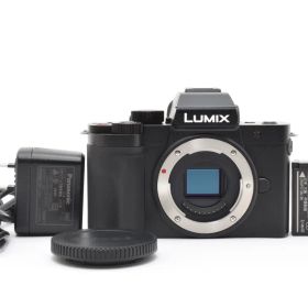 ■ 美品 ■ PANASONIC LUMIX DC-G100D 2391