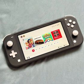 Switch Lite グレー HDH-001 純正ACアダプター付き